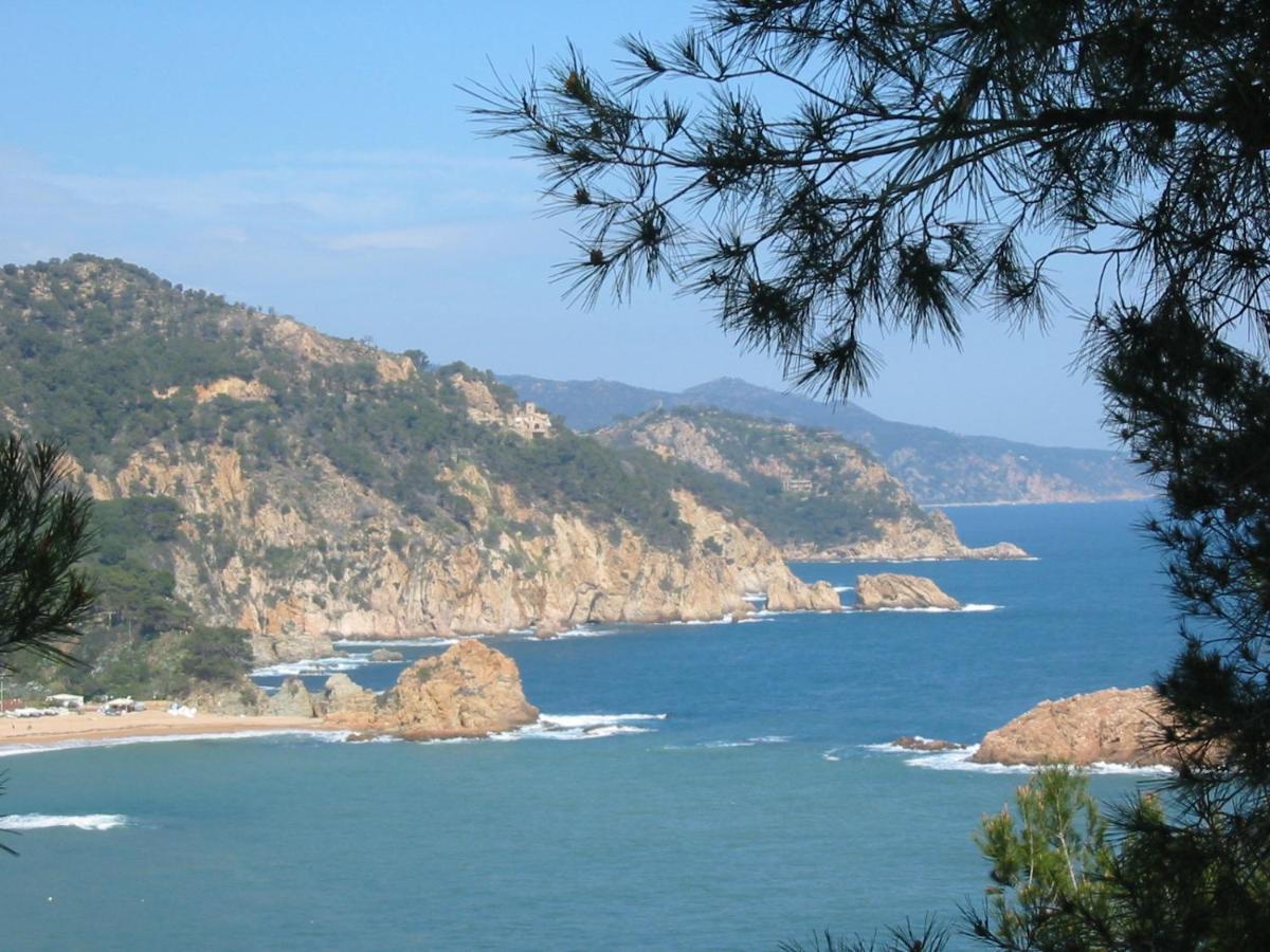 Appartamento Arts House - Cabrils, Maresme, Barcelona Esterno foto